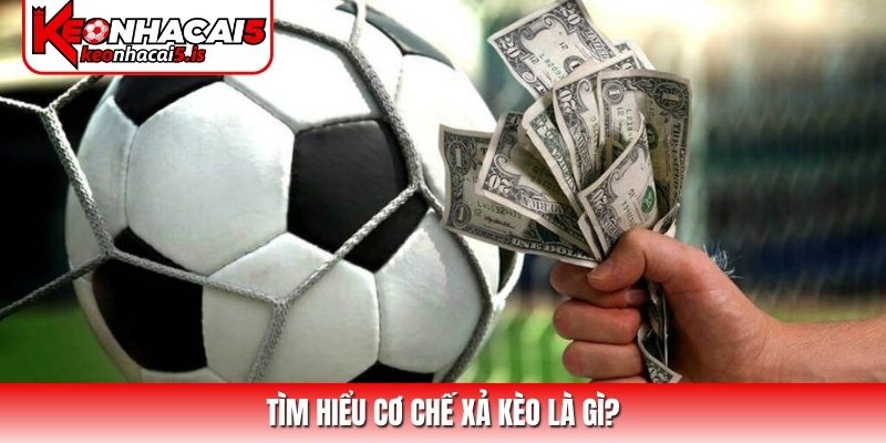 Tìm hiểu cơ chế xả kèo là gì?